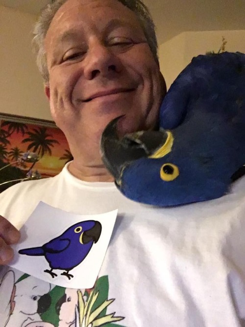 farintia:birdhism:Customer &amp; Bird-friend Appreciation PostAwww