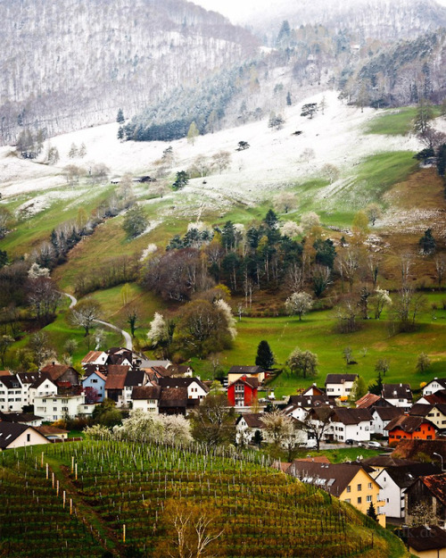 A country side in Liechtenstein.