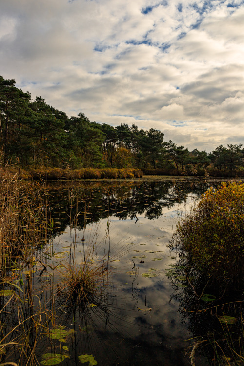 Dutch forest lake 6-10/? - 6: Waterliniepad, The Netherlands, May 20217-10:  Brabantse Vennenpad, Th