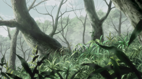 dolleye:mushishi scenery