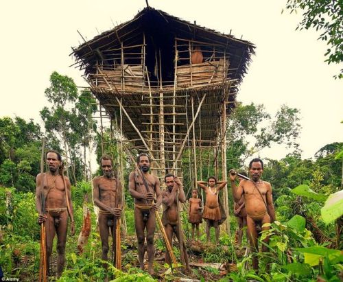 rixwilson:The Korowai tribe and their home in the rainforests of New Guinea, Indonesia.