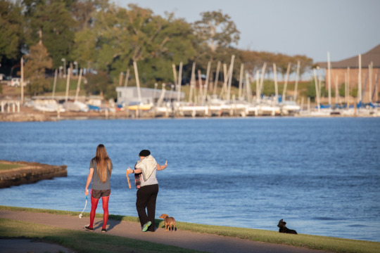 Spend a Weekend in Ridgeland, Mississippi