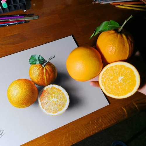 sosuperawesome:  Marcello Barenghi on InstagramFollow So Super Awesome on Instagram 
