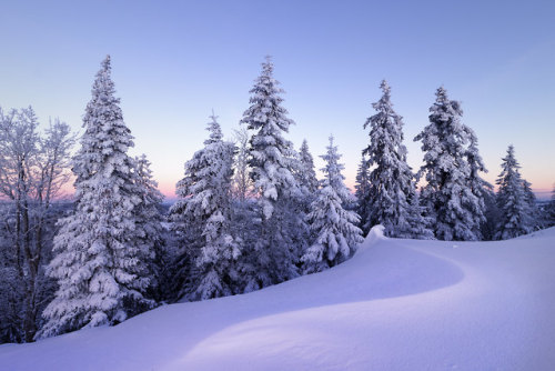 phantastrophe: Jura Mountains, Switzerland | Photographer: Rogg4n That is some very bi landscape <