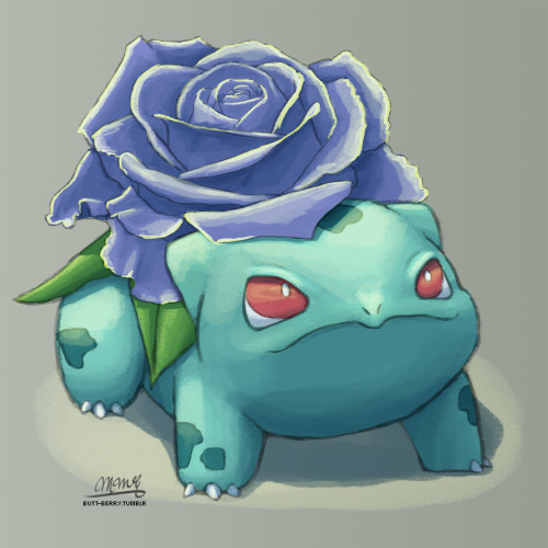 butt-berry:  Roses 