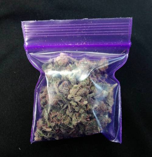 Stoners always welcome! | a bag of weed, a bog of weed, everything is better… | via Tumblr on