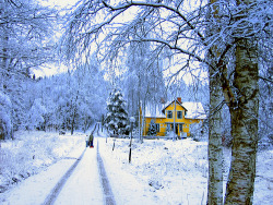 soulofsweden:  Wintery scene by Eva Wilander,