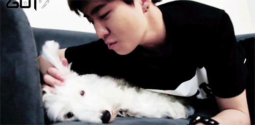 jackandjael:  youngjae being warm and loving to the sleepy puppy (*´ ˘ `*).｡oO ( ♡ ) 