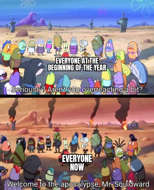 Let the chaos begin (x)