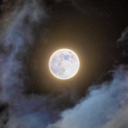XXX cowboy:the first full moon of 2021, Sophie’s photo