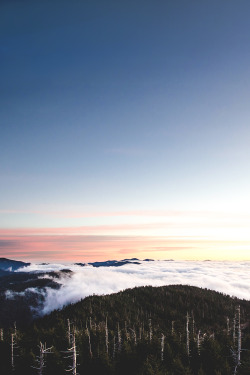 motivationsforlife:  Clingman`s Dome by Ashley