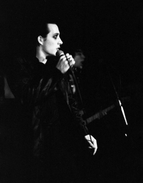 victoriana1313:Yet another pic of Dave Vanian~unknown source.