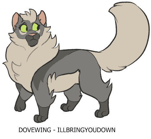 Dovewing ! 