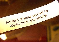 feyminism-blog:  Totally Useless Fortune Cookies (x) 