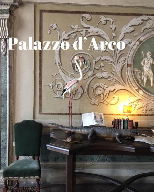 HOUSE MUSEUM PALAZZO D’ARCOPalazzo d’Arco has been the home of d’Arco family since 1740 to 1973. Dur
