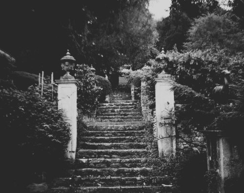 raised-from-the-grave:    Source: xx | Edited by: me   