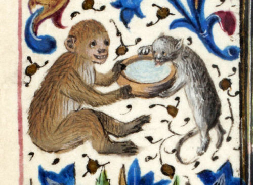 bowl of milk! ‘Trivulzio Book of Hours’, Flanders ca. 1470.Den Haag, Koninklijke Bibliotheek, SMC 1,