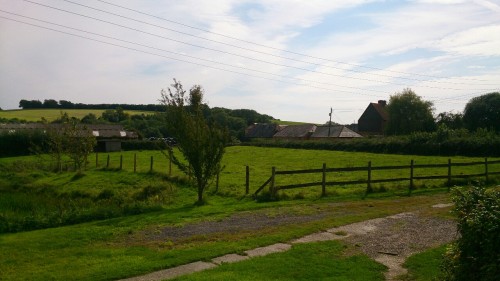 The farm. 