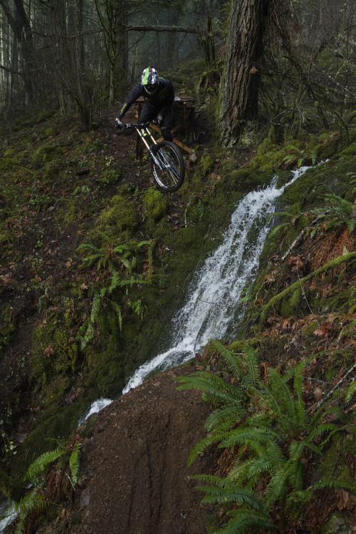 horsthimself:  waterfall gap