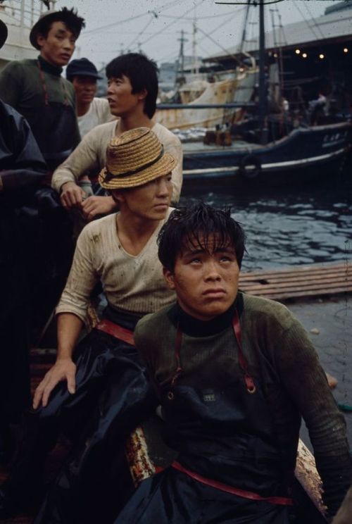 s-h-o-w-a:Tokyo fish market, 1964Ph. Brian Brake