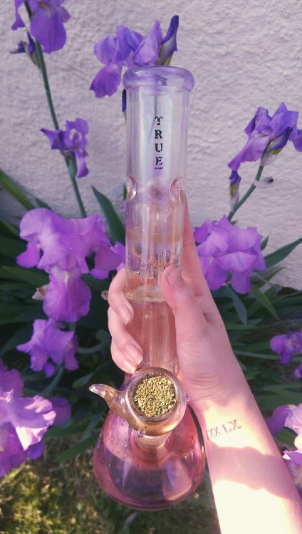 nugssbunny:  I got a new bong yesterday 🌷💐🌸 adult photos