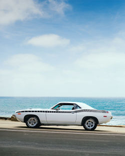 automotivated:  74Cuda (by andrew_austin)