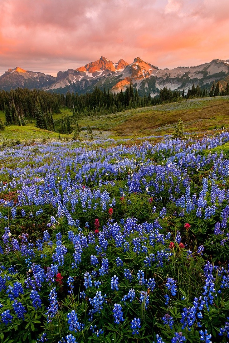 sundxwn: Tatoosh Range by Henrik Anker Bjerregaard Lundh III 