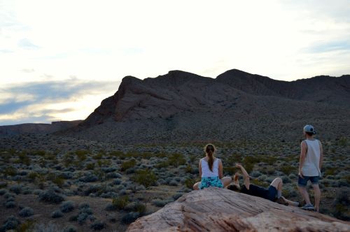 Seeing the day out in the Nevada desert.