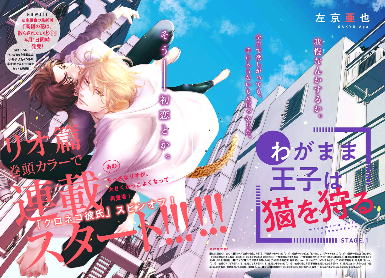 Yaoi S Love Always Wyn Yaoi S Love Always Wyn