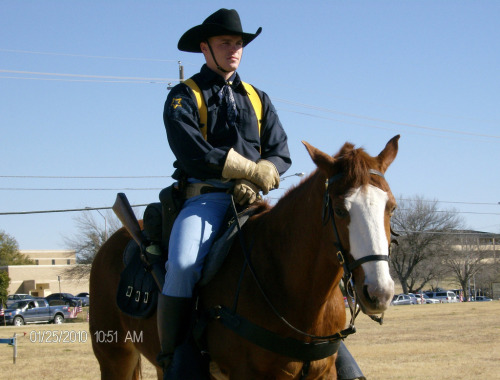 Cavalry (by myhorsemyrules) click here and press space bar for more sexygroovybeauty