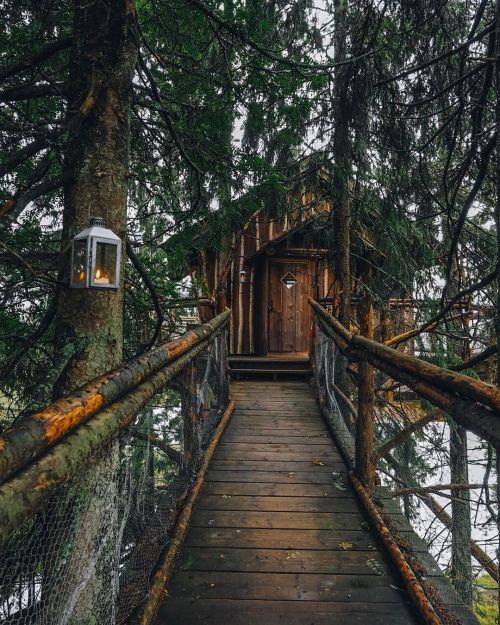 cabinporn:An exquisite kitchen in a cabin at Tretopphytter – “Treetop Cabins” – two hours north of O