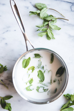 sweetoothgirl:    VEGAN MINT MOCHA CHIP ICE