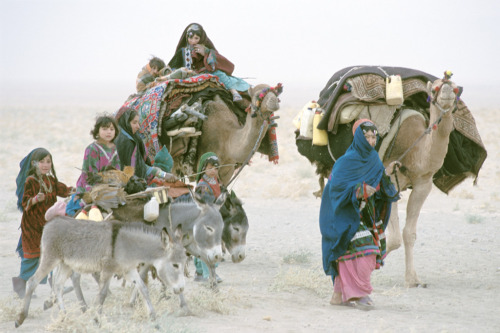 Kochi family passing by.Source: Luke Powell