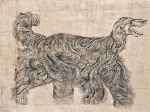 “An impressive portrait of an Afghan Hound”, Probably Rajasthan, Probably Kota, 19th Century.