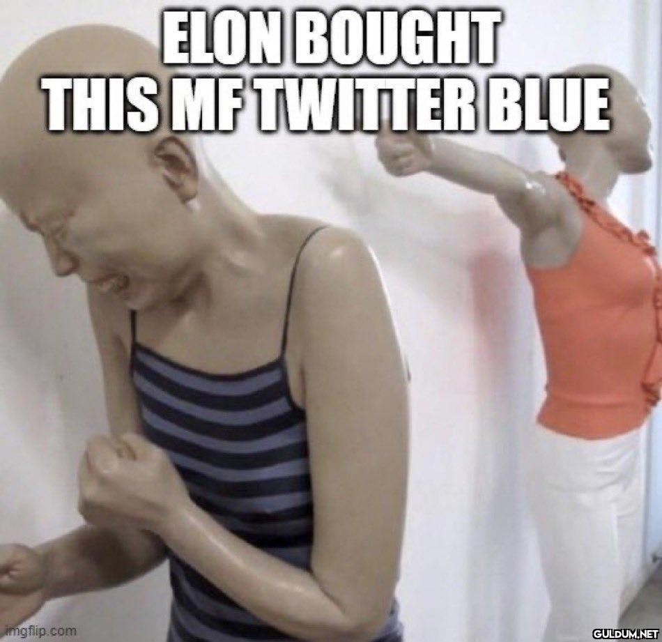 ELON BOUGHT THIS MF...