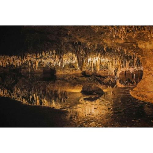 From last weekend at Luray Caverns #aprileileenphotography #vaphotographer #luraycaverns #dreamlake