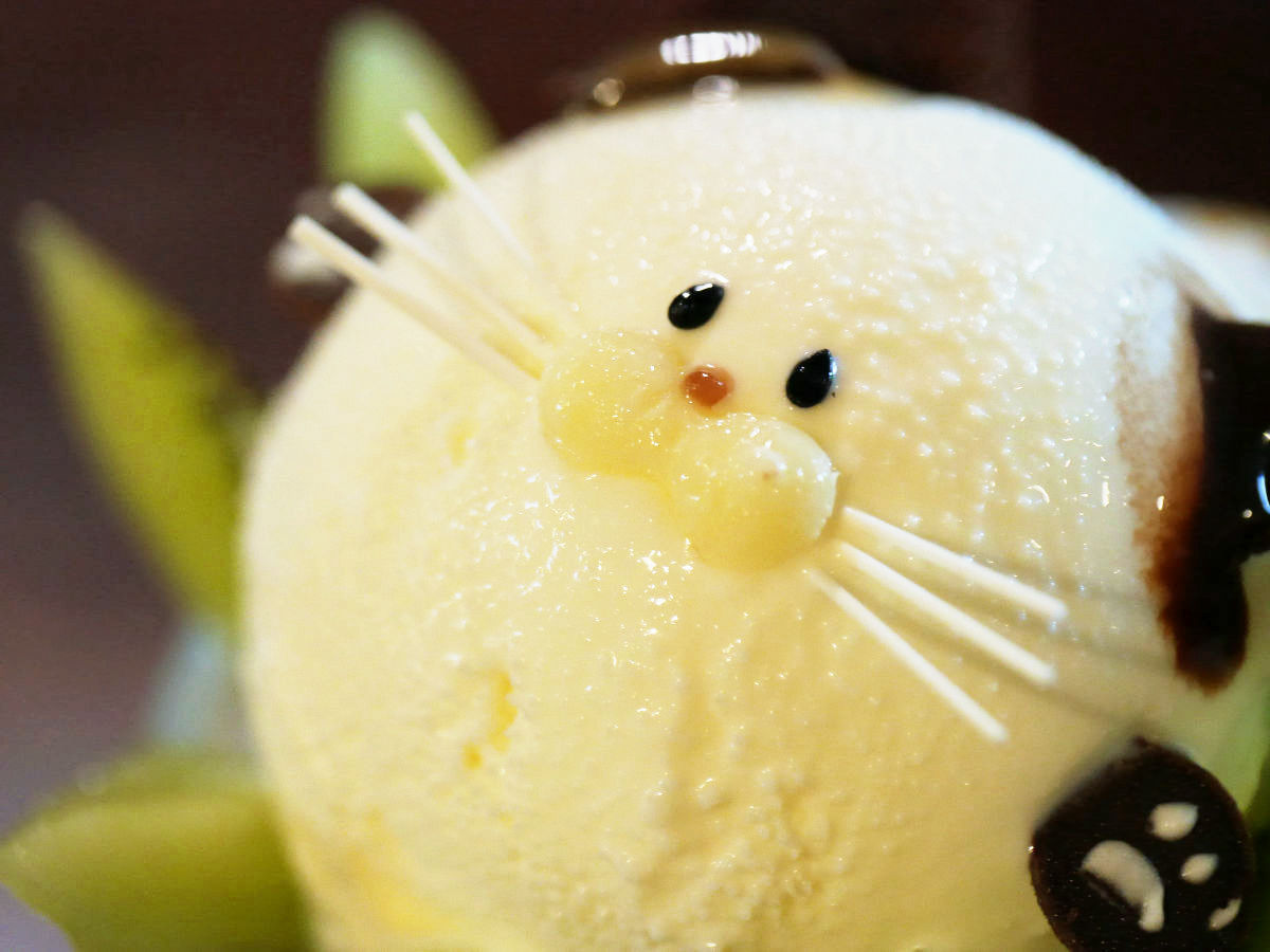 goodpicturesthatilike:  (via かわいすぎるネコがつぶらな瞳で見つめてくる「初恋にゃんこパフェ」を食べてきた
