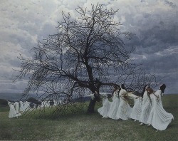 heksenkring: Beautiful piece by Maximilian Lenz, A Song of Spring (1913).