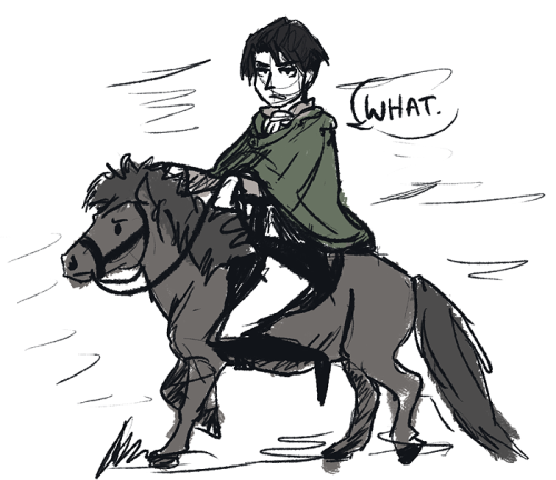 the only thing i want in life is to see levi be forced to ride a miniature horse