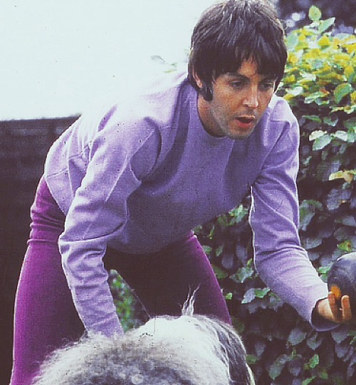 maccasmccartney: Paul McCartney + Purple