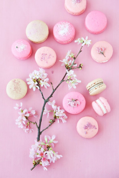 foodiebliss:   Cherry Blossom Macarons //  Anna and Blue |  Sakura Rare Cheese Desser