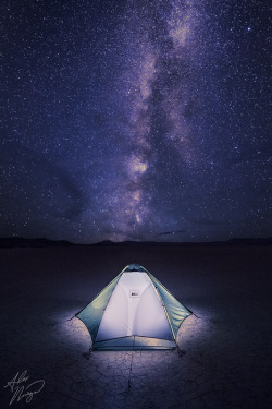 drxgonfly:  Our Place in the Cosmos (by Alex Noriega.) 