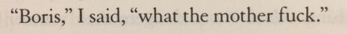 odysscy - the goldfinch - a summary