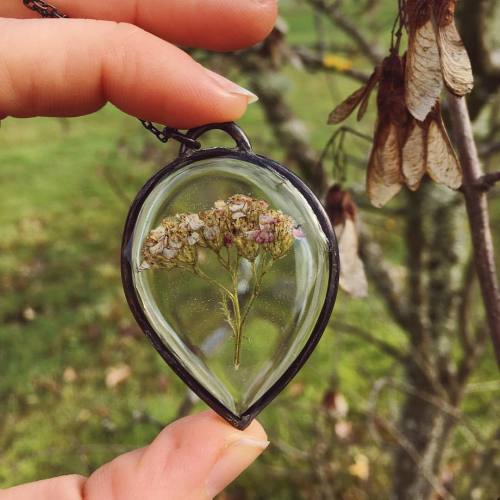 pressed yarrow looking glass necklace in the shop, ready to ship! www.bonesandthings.etsy.com