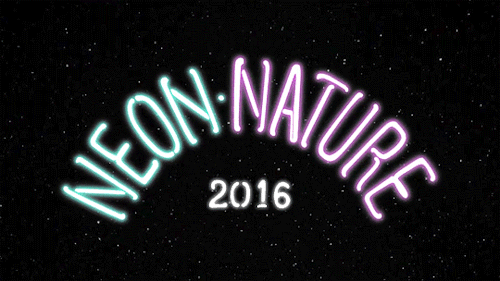 royalfroot:  NEON NATURE