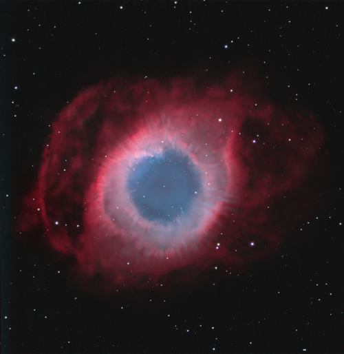 scientistmary: Spokes in the Helix Nebula.(Credit: Don Goldman, Sierra Remote Observatories)