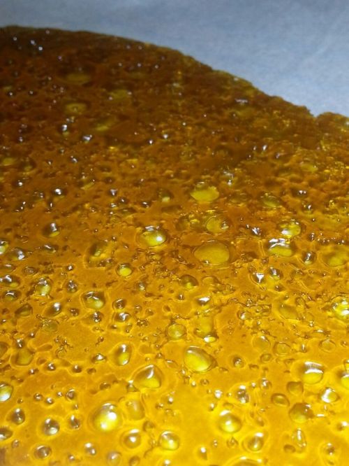 indica-lungs:  Trainwreck shatter lookin’ like gold.