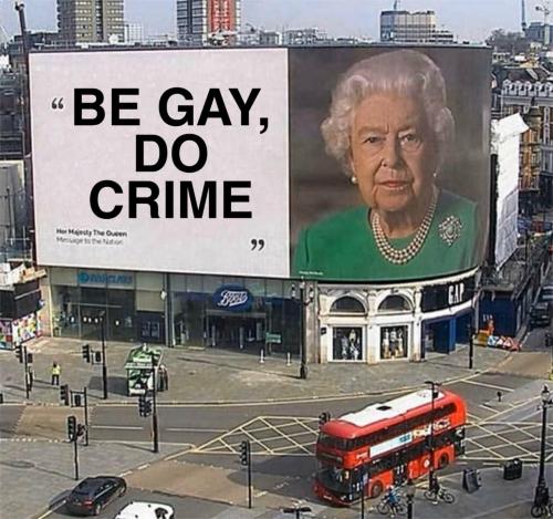 Gay👑irl