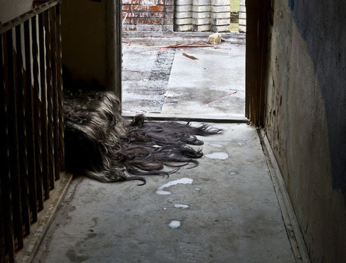 Jessica Wohl, 2011, Hairy StaircaseSynthatic hair, fabric and steel installed in the abondoned Mount