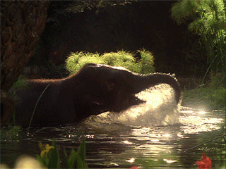 Dope Gifs